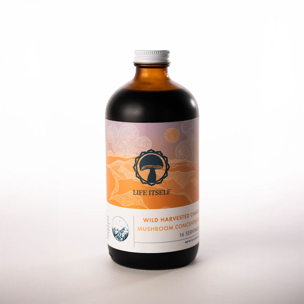 Wild Foraged Chaga Tea Concentrate - Antioxidant-Rich Immune Support Mushroom Tea Concentrate by Life Itself